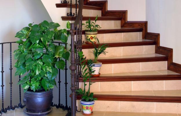 Плитка для ступеней